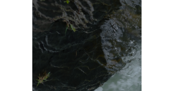 Te Wāhi Toi - Between - At the World's Edge Festival 