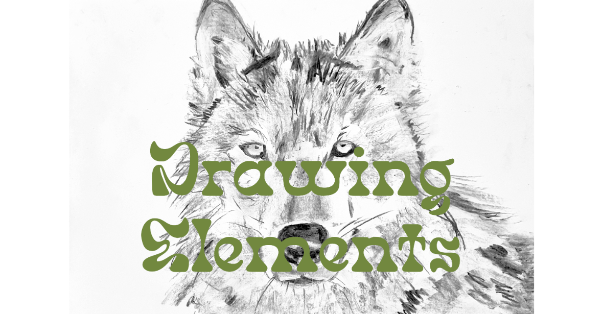 Drawing Elements - a beginners' drawing class