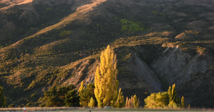 Te Wāhi Toi - Saturday Arts Social: The Calm of Autumn song session