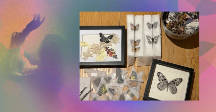 Te Wāhi Toi - Queenstown Arts Society - Creative Butterfly Preservation Workshop with Flora Fauna and Claire Todd