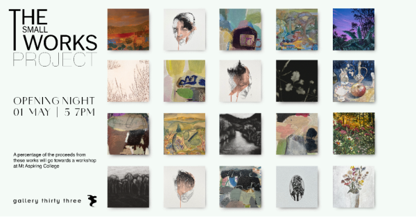 Te Wāhi Toi - The Small Works Project Opening Night