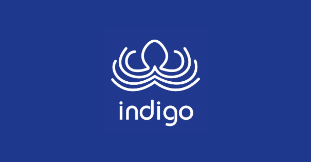 Art Exhibition: Indigo